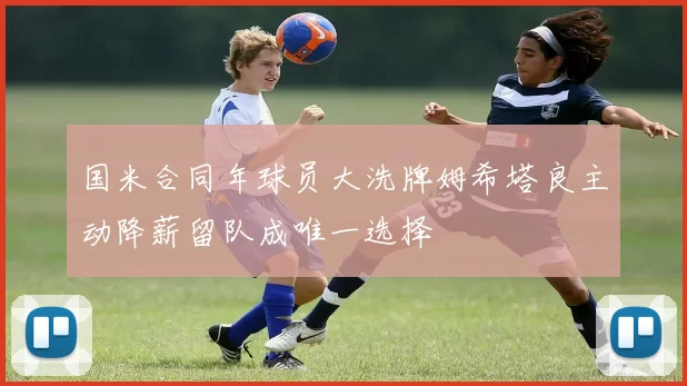 国米合同年球员大洗牌姆希塔良主动降薪留队成唯一选择
